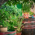 Agro Linda Pensjonat
