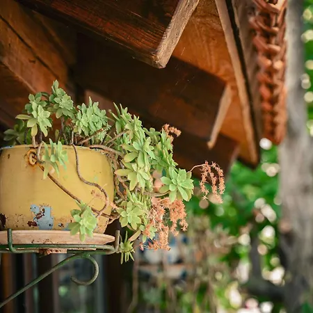 Pensjonat Agro Linda