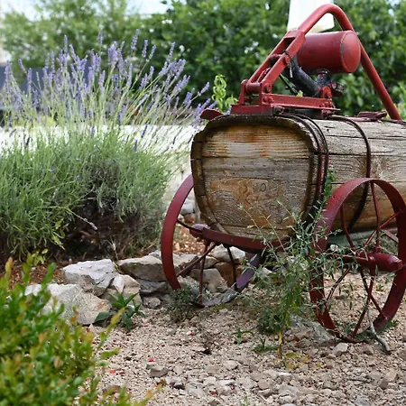 Pensjonat Agro Linda 3*