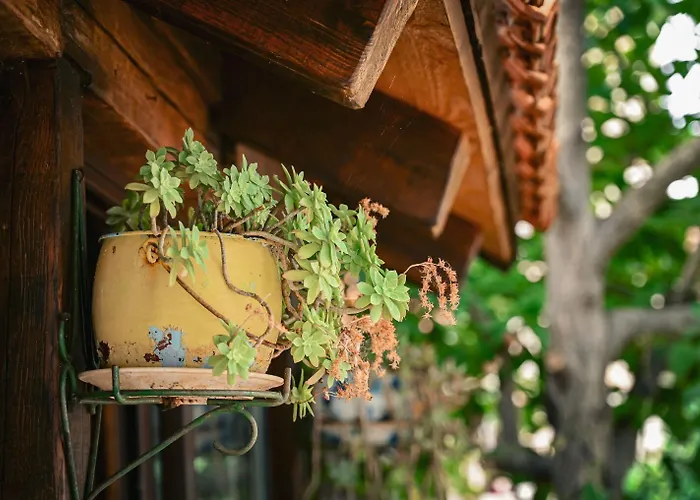 Guest house Agro Linda