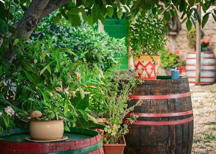 Agro Linda Guest house